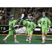 Saskatchewan Rush celebrate a goal