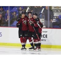 Vancouver Giants forward Samuel Honzek celebrates with teammates