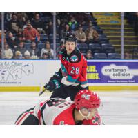 Kelowna Rockets left-wing Andrew Cristall