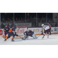 Peterborough Petes battle the Flint Firebirds