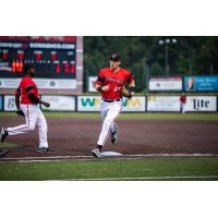 Washington Wild Things infielder Andrew Czech