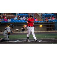 Washington Wild Things infielder Andrew Czech