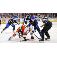 Wichita Thunder battle the Kansas City Mavericks