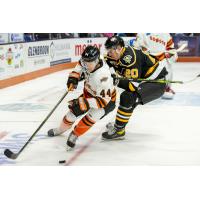 Fort Wayne Komets' Marc-Antoine PÉpin And Wheeling Nailers' Justin Addamo In Action