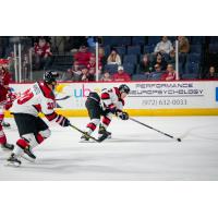 Rapid City Rush's Ilya Nikolaev In Action