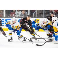 Saskatoon Blades battle the Red Deer Rebels