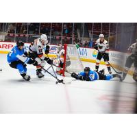 Lehigh Valley Phantoms' Ronnie Attard battles Grigori Denisenko of the Charlotte Checkers