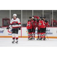 Belleville Senators and Utica Comets on the ice