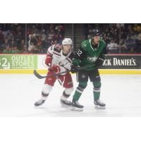 Grand Rapids Griffins' 	Tyler Spezia and Texas Stars' Riley Damiani on game day