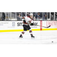 Tucson Roadrunners' defenseman Cam Dineen on game day