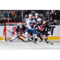 Belleville Senators' Antoine Bibeau and Cole Reinhardt in action