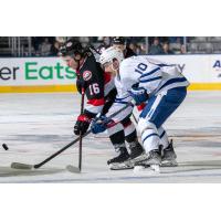 Belleville Senators' Matthew Boucher Battles Zach O'Bien of the Toronto Marlies