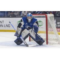 Saint John Sea Dogs goaltender Nikolas Hurtubise