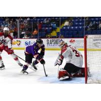 Allen Americans' Logan Flodell in action