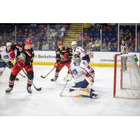 Grand Rapids Griffins' Elmer Söderblom versus Springfield Thunderbirds' Joel Hofer