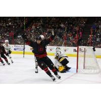 Cincinnati Cyclones celebrate win