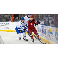 Wichita Thunder's Dylan Macpherson Battles Rapid City Rush's Max Coatta