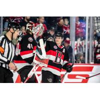 Belleville Senators celebrate win