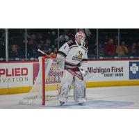 Grand Rapids Griffins goaltender Victor Brattstrom