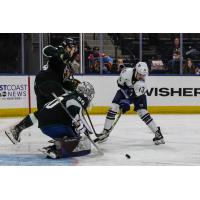 Jacksonville Icemen forward Jacob Hamacher shoots against the Utah Grizzlies