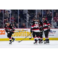 Belleville Senators' Lassi Thomson On The Ice