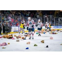 Springfield Thunderbirds on Teddy Bear Toss Night