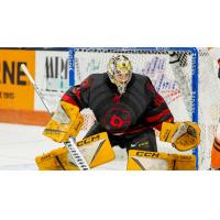 Cincinnati Cyclones' Mark Sinclair in action