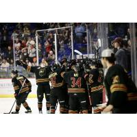 Vancouver Giants celebrate win