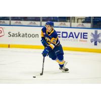 Saskatoon Blades defenceman Tanner Molendyk