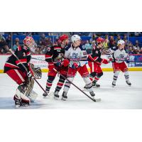 Grand Rapids Griffins battle the Hartford Wolf Pack