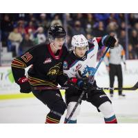 Vancouver Giants forward Samuel Honzek (left)