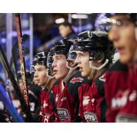 Vancouver Giants forward Samuel Honzek and teammates