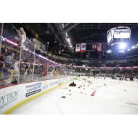 Bears on the ice for Indy Fuel's Teddy Bear Toss game