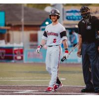 Washington Wild Things infielder Nick Ward