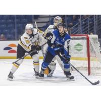 Saint John Sea Dogs centre Connor Trenholm in front of the Cape Breton Eagles net