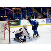 Jacksonville Icemen's Jacob Hamacher Versus Tulsa Oilers' Colten Ellis