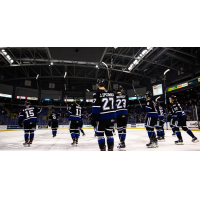 Victoria Royals celebrate win