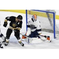 Worcester Railers goaltender Henrik Tikkanen stops the Newfoundland Growlers