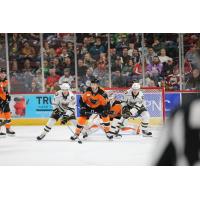 Lehigh Valley Phantoms' Kevin Connauton in action