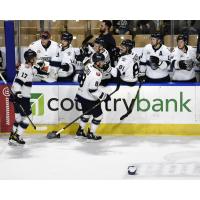 Worcester Railers forwards Bobby Butler (8) and Blade Jenkins receive high fives from the bench