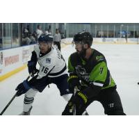 Jacksonville Icemen forward Derek Lodermeier (left) vs. the Savannah Ghost Pirates