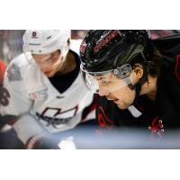 Kalamazoo Wings and Cincinnati Cyclones on game day