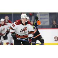 Tucson Roadrunners' Curtis Douglas on game night