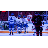 Wichita Thunder celebrate win