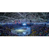 The crowd at a Florida Everblades game