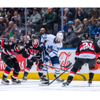 Belleville Senators battle the Toronto Marlies