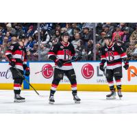 Belleville Senators prepare for the Toronto Marlies