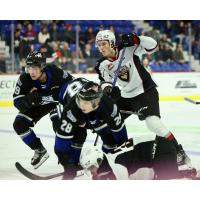 Victoria Royals' Riley Gannon vs. Kelowna Rockets' Ty Thorpe