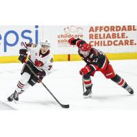 Rockford IceHogs' Jakub Galvas and Grand Rapids Griffins' Austin Czarnik in action