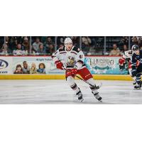 Grand Rapids Griffins forward Cedric Lacroix